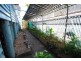 206 Talford Street, Allenstown QLD 4700