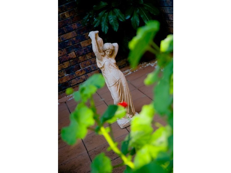 49 Forbes Avenue, Frenchville QLD 4701