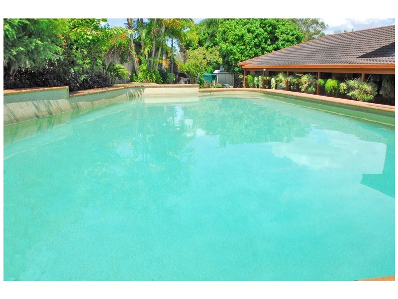 4 Bird Court, Frenchville QLD 4701