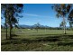 Lot 303 Press Court, Gracemere QLD 4702