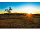 Lot 305 Press Court, Gracemere QLD 4702
