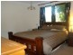 295 Thirkettle Avenue, Frenchville QLD 4701