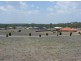 Lot 7 Stirling Drive, Rockyview QLD 4701