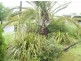 164 Rodboro Street, Berserker QLD 4701