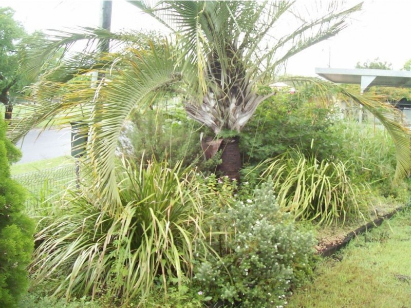 164 Rodboro Street, Berserker QLD 4701