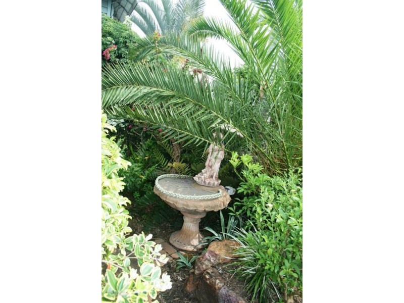 208 Talford Street, Allenstown QLD 4700