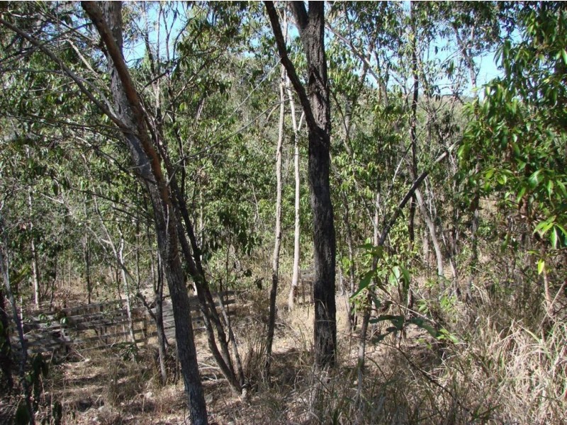 54 School Street, Mount Chalmers QLD 4702