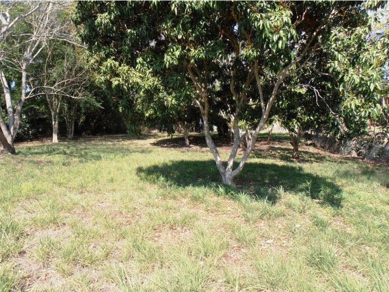 341 Agnes Street, The Range QLD 4700