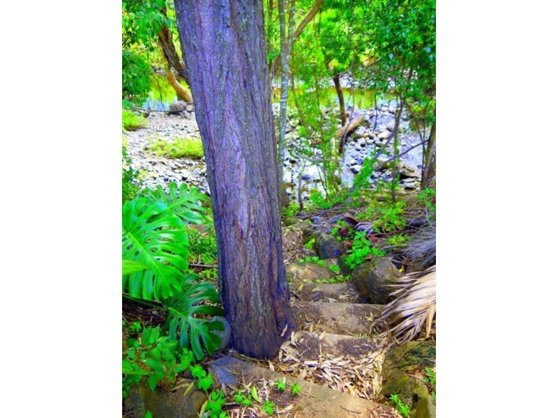 475 Eichelberger Street, Frenchville QLD 4701