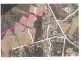 Lot 41 Vaughans Road, Yeppoon QLD 4703
