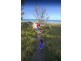 Lot 30 Riviera Way, Beachside Residential, Mulambin, Yeppoon QLD 4703