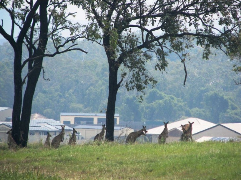 Lot 82 Stirling Drive, Paramount Park, Rockyview QLD 4701