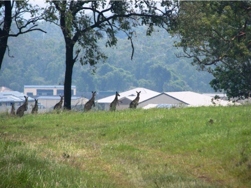 Lot 99 Stirling Drive, Paramount Park, Rockyview QLD 4701