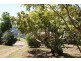 31-35 Main Street, Montville QLD 4560