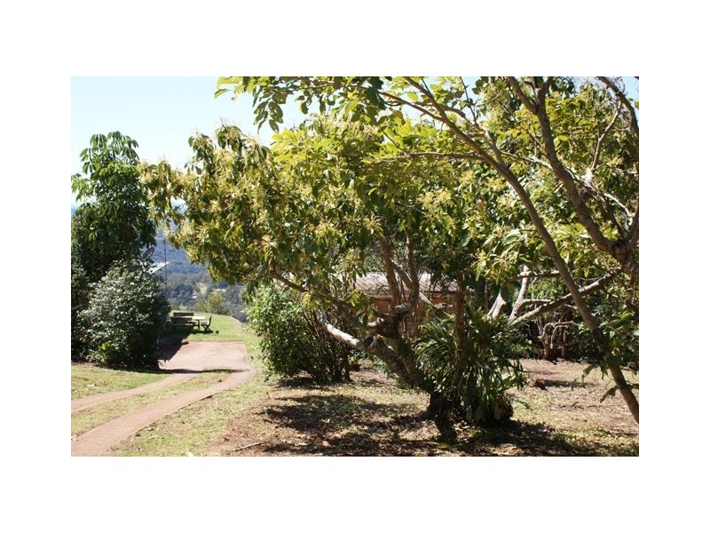 31-35 Main Street, Montville QLD 4560