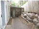 1/57 Balmain St, Wooloowin QLD 4030