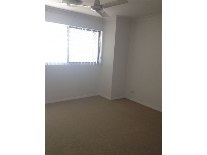 14/493 Ipswich Rd, Annerley QLD 4103