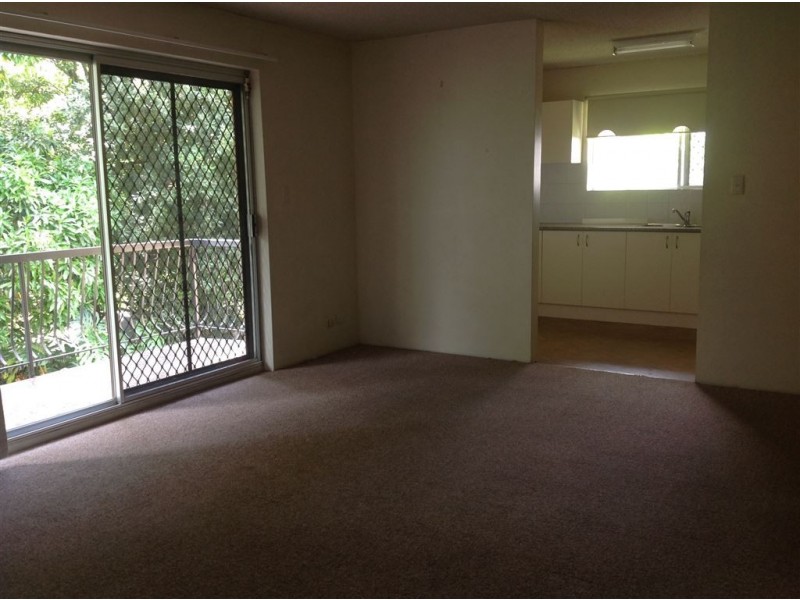 3/69 Alma Rd, Clayfield QLD 4011