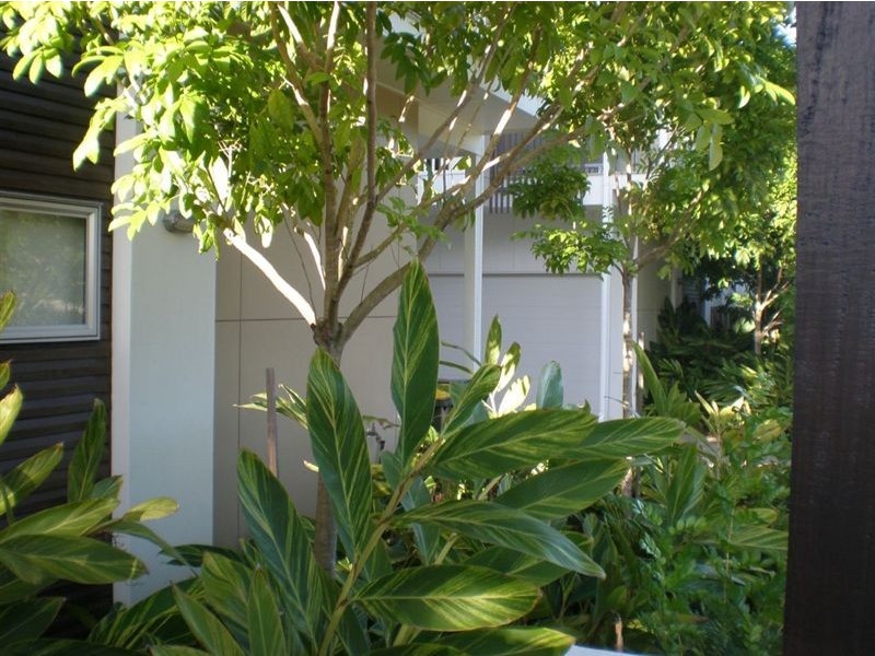 7 Handy St, Paddington QLD 4064