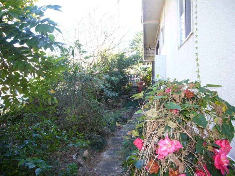 51 Massey St, Ascot QLD 4007