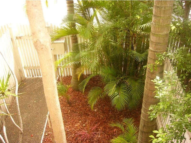 3/29 BUCKLE STREET, Northgate QLD 4013