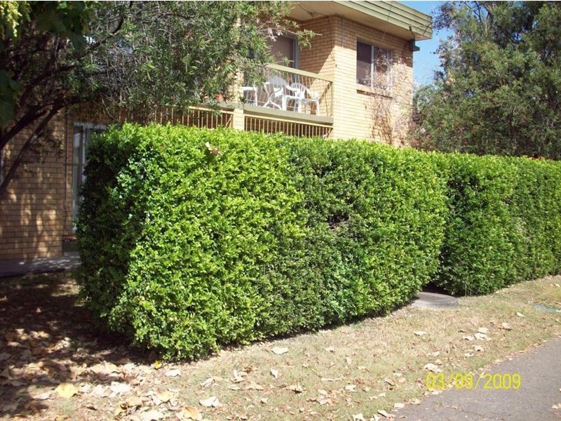 1/86 Junction Road, Clayfield QLD 4011