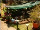 Clayfield QLD 4011
