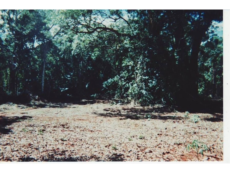 1 Isabella McIvor River Rd, Cooktown QLD 4895