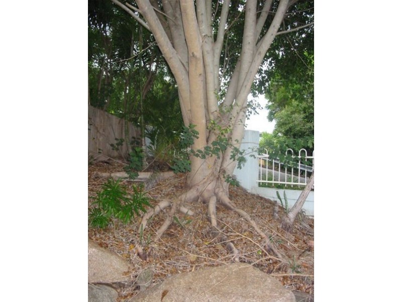 1/57 Balmain St, Wooloowin QLD 4030