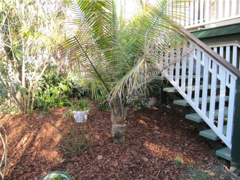 45 Hamilton Ave, Hendra QLD 4011