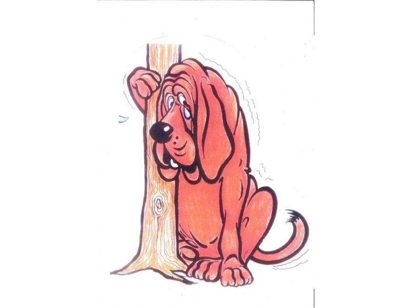 5/18 Cintra Rd, Bowen Hills QLD 4006