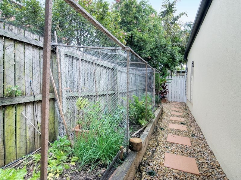 3/325 Hawthorne Road, Hawthorne QLD 4171
