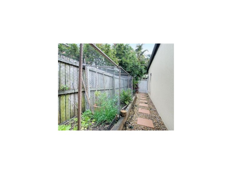 3/325 Hawthorne Road, Hawthorne QLD 4171