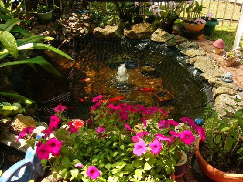 9/773 Sandgate Road, Clayfield QLD 4011