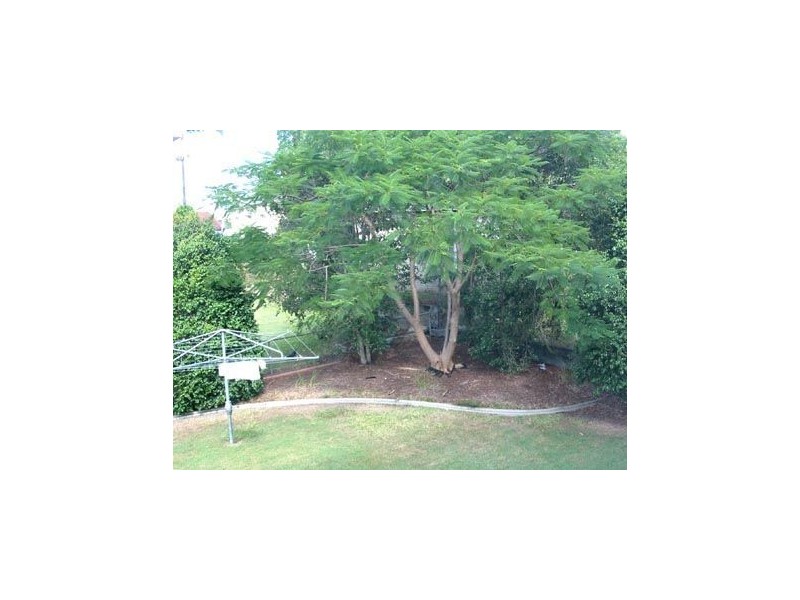 3/43 Noble Street, Clayfield QLD 4011