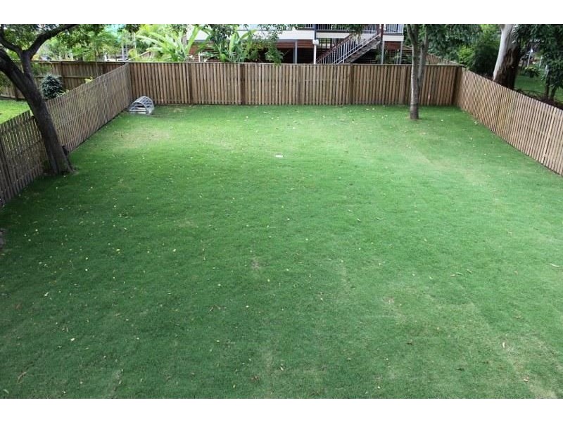 30 Thorrold St, Wooloowin QLD 4030