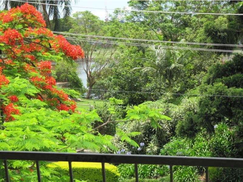 1/77 Sandford St, St Lucia QLD 4067