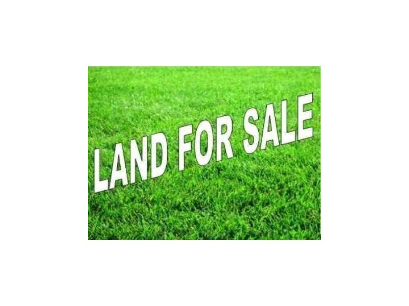 20A Hamilton Avenue, Hendra QLD 4011