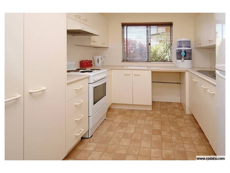 1/103 Raceview Avenue, Hendra QLD 4011