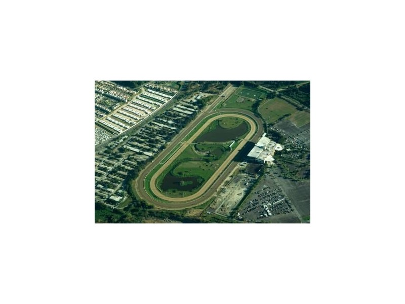 59 Raceview Avenue, Hendra QLD 4011