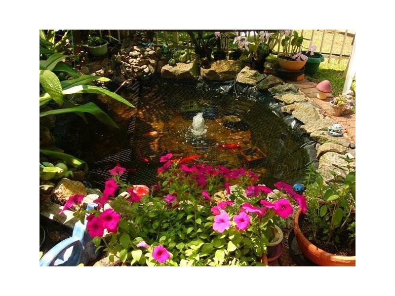 9/773 Sandgate Rd, Clayfield QLD 4011