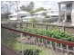 5/83 Waldheim St, Annerley QLD 4103