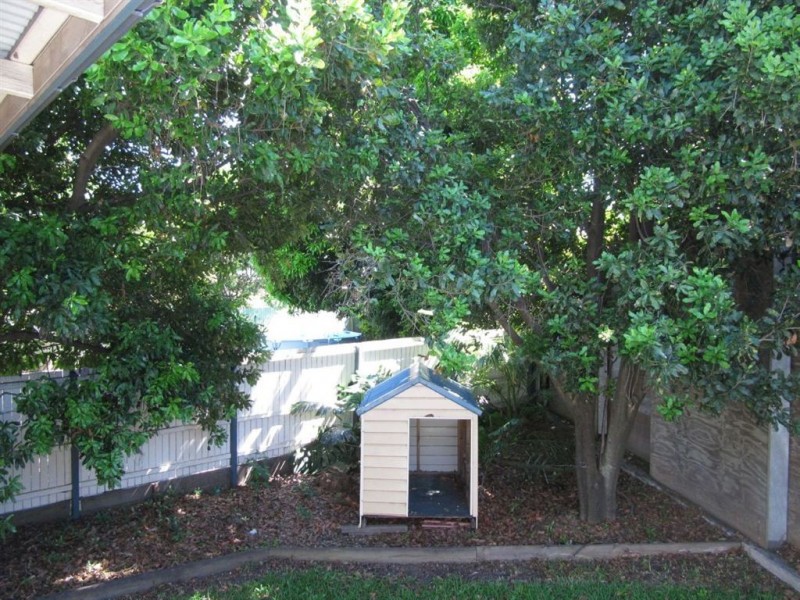 8 Thomas Street, Clayfield QLD 4011