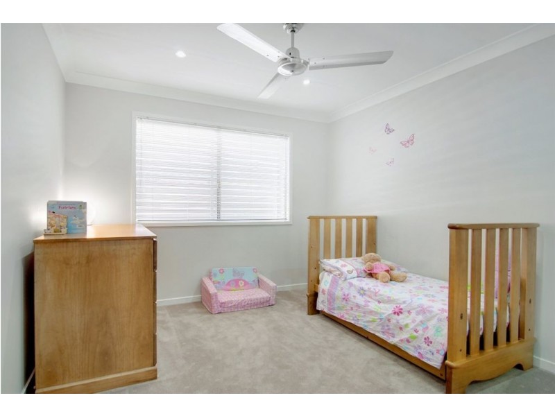 55 Junction Rd, Clayfield QLD 4011