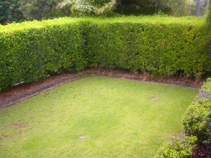 17 REEVE STREET, Clayfield QLD 4011