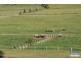 363 Round Mountain Road, Beaudesert QLD 4285