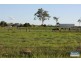 363 Round Mountain Road, Beaudesert QLD 4285