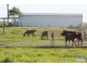 363 Round Mountain Road, Beaudesert QLD 4285
