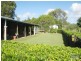 735 Sandy Creek Road, Josephville QLD 4285