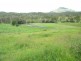Christmas Creek QLD 4285